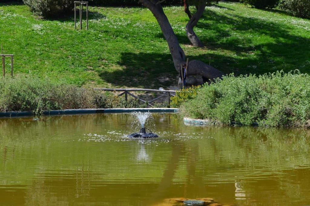 Belvedere Di Ancona Bagian luar foto
